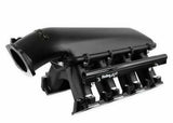 Holley EFI component for Ram black