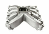 Holley EFI component