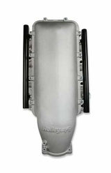 Holley EFI component for Ram