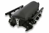Holley EFI fuel injector black l92-300-679bk