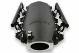 Holley EFI fuel injector black l92-300-679bk