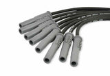 MSD Ford Raptor 6.2L V8 Black Wire Set - 31633