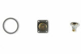 Holley Fast Kit Carburetor Rebuild Kit - 37-1542