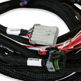 Holley EFI wiring harness harness-558-128