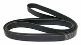 Jeep Rubber Black Accessory Drive Belt - 53010277