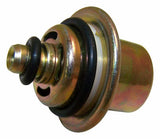 Jeep Steel Black Fuel Pressure Regulator - 53030001