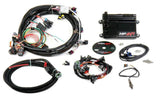 Holley EFI HP engine management system kits-550-602n