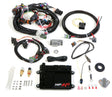 Holley HP EFI ECU and Harness Kits 550-604N for Ford