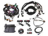 Holley EFI HP engine management system kits-550-616n