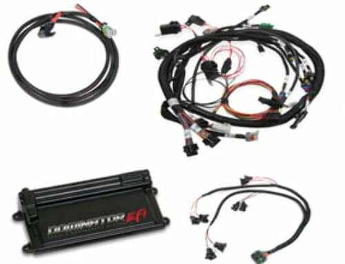 Holley EFI Dominator engine management system harness-550-654