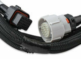 Holley Terminator X MAX Engine Management Systems 550-917