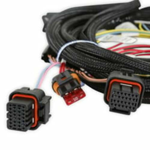 TERMINATOR X MAX 58x Late Truck with  6L80 CONTROL 550-918-6