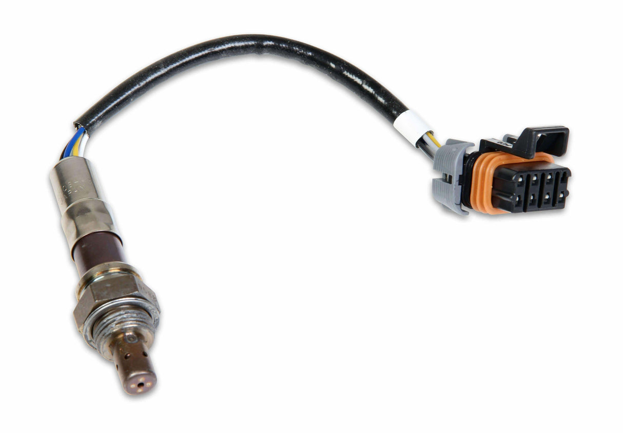 Holley EFI wideband oxygen sensor sensors-554-100