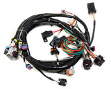 LS1/6 (24x/1x) Engine Main Harness - 558-102