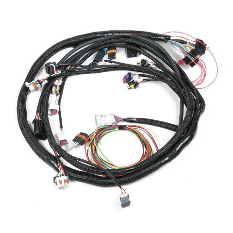 Holley EFI wiring harness harness-558-104
