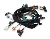 Holley EFI wiring harness harness-558-108