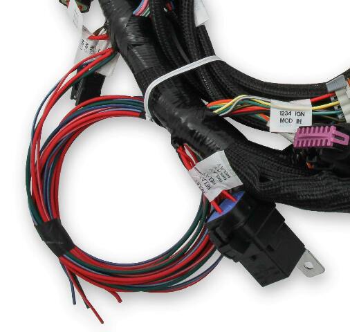 Holley EFI wiring harness coil-11-17-558-110