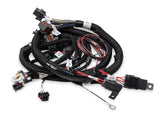 Holley EFI wiring harness lsx-24x-558-111