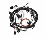 Holley EFI wiring harness harness-558-117