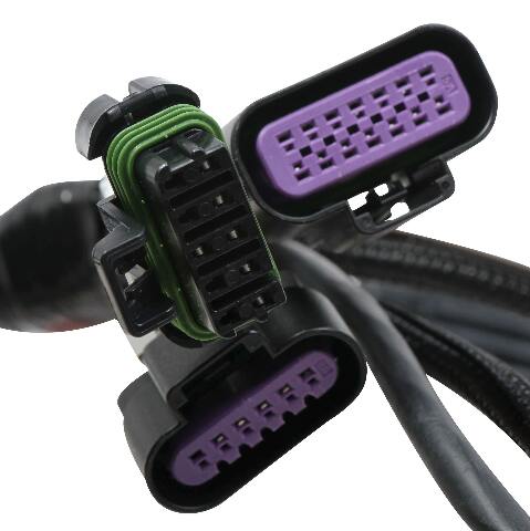 Holley EFI wiring harness harness-558-121