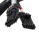 Holley EFI wiring harness harness-558-121