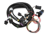 Holley EFI wiring harness harness-558-121