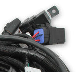 Holley EFI wiring harness coils-558-122