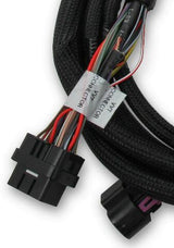 Holley EFI wiring harness harness-2013-2017-558-125