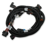 Holley EFI wiring harness harness-2013-2017-558-125