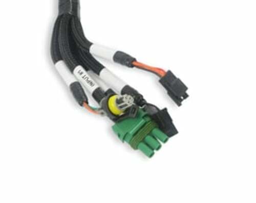 Holley EFI wiring harness harness-558-127