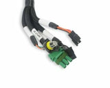Holley EFI wiring harness harness-558-127