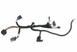 Holley EFI wiring harness harness-558-127
