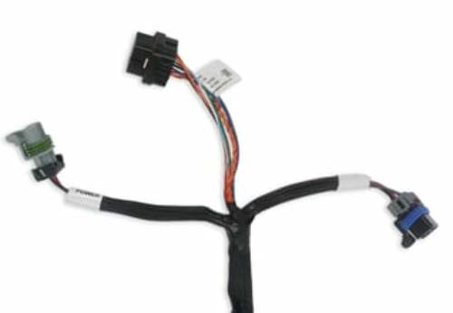 Holley EFI wiring harness harness-558-127