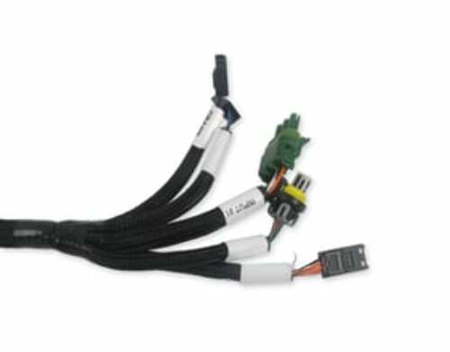 Holley EFI wiring harness harness-558-127