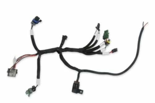 Holley EFI wiring harness harness-558-127