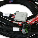 Holley EFI wiring harness harness-558-128