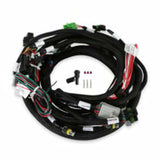 Holley EFI wiring harness harness-558-128