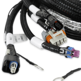 Holley EFI wiring harness harness-558-129