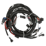 Holley EFI wiring harness harness-558-129