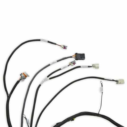 Holley EFI Dominator engine management system efi-558-134