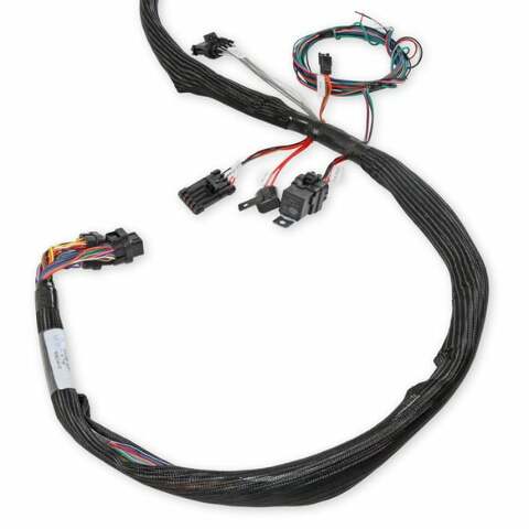 Holley EFI Dominator engine management system efi-558-134