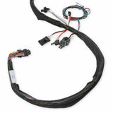 Holley EFI Dominator engine management system efi-558-134