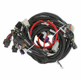Holley EFI Dominator engine management system efi-558-134