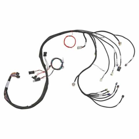 Holley EFI Dominator engine management system efi-558-134