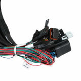 Holley EFI wiring harness coils-558-141