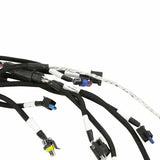 Holley EFI wiring harness coils-558-141