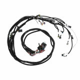 Holley EFI wiring harness coils-558-141