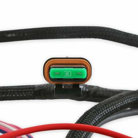 Holley EFI wiring harness pdm-558-190