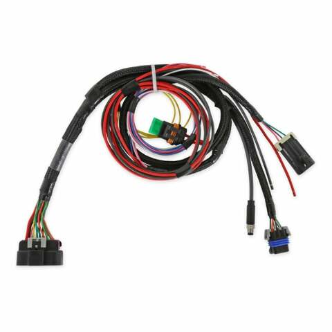 Holley EFI wiring harness pdm-558-190