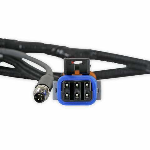 Holley EFI wiring harness pdm-558-191